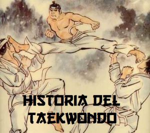 historia del universal taekwondo utd 1